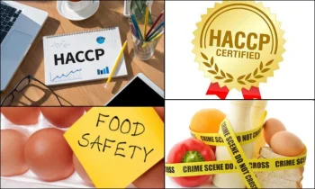 HACCP Gıda Güvenliği Yönetim Sistemi Nedir