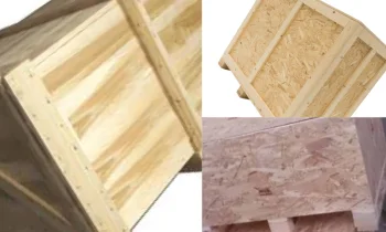 Isıl İşlem Sandık ile Küresel Tarım İhracatında Biyolojik Güvenlik