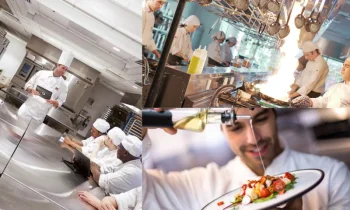 Aşçılık Belgesi ile Gastronomi Dünyasında Profesyonel Bir Başlangıç