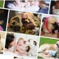 Yavru Köpeklerin Beslenmesinde Dikkat Edilecekler