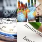 Tercüme Bürosu Hangi Dilde Çeviriler Yapar?