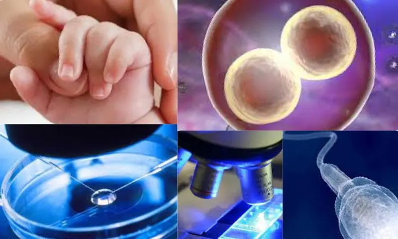 Tüp Bebekte Kök Hücre Tedavisi Uygulanır Mı?